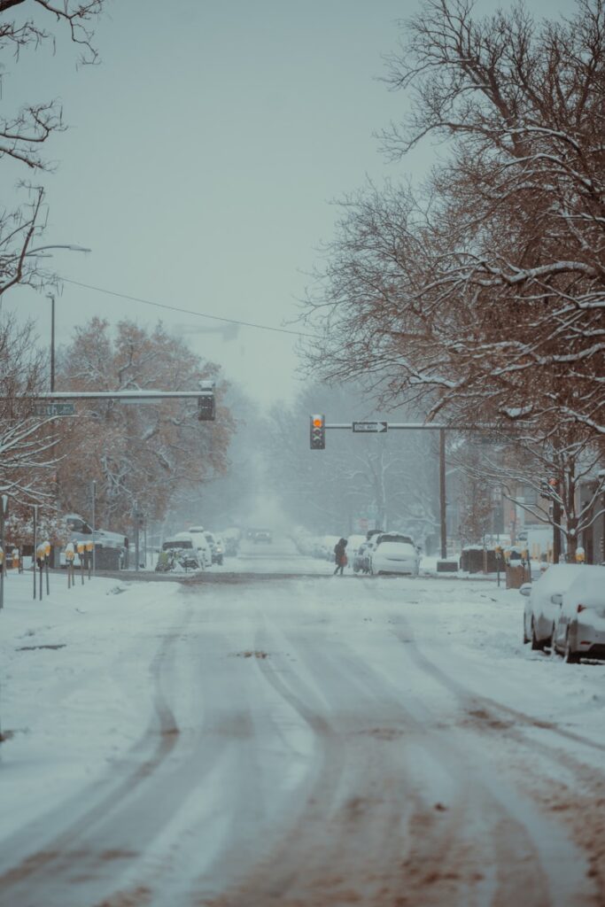 a snowy street with a traffic light on a snowy day